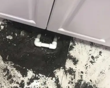 高要查漏水哪家好