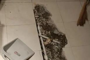 高要卫生间漏水检测电话
